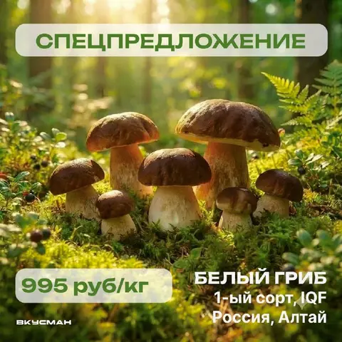 Фото объявления: Белые грибы