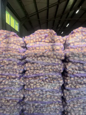 Фото объявления: Картофель оптом 🥔🥔🥔, Белгород