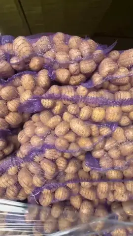 Видео объявления: Отличный картофель 🥔, Брянск