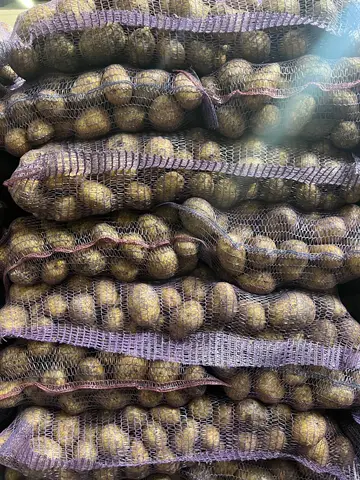Фото объявления: Картофель оптом 🥔🥔🥔, Белгород